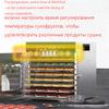 8-layer Capacity Dryer Dried Fruit Machine Commercial and Household Smart Touch Visual Door Lighted Food Dehydration Dehydrator
