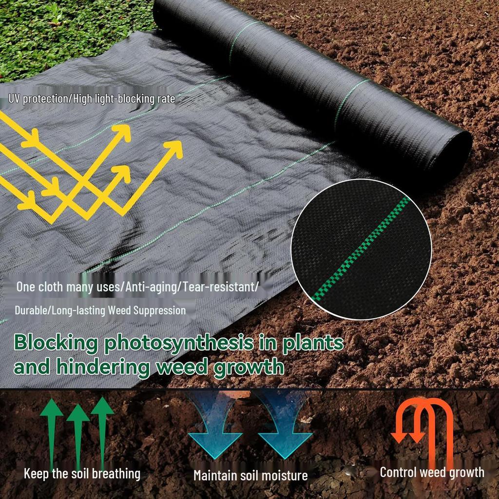 Black PP Weed Barrier Cloth: Breathable, Water-Permeable Ground Cover for Orchards and Gardens