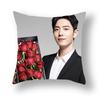Celebrity Printed Pillow Cover Advertising Sofa Bedside Cushion Cover Pillow Cover