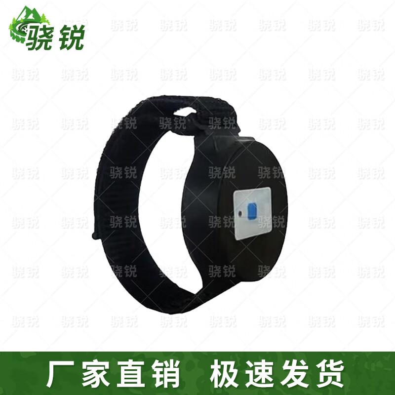 Xiaorui Smart Physical Assessment & Sports System