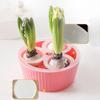 Hydroponic Planter 3-hole Growing Container Flower Bulb Planting Container Hyacinth Planter Flower Bulb Hydroponic Flower Pot