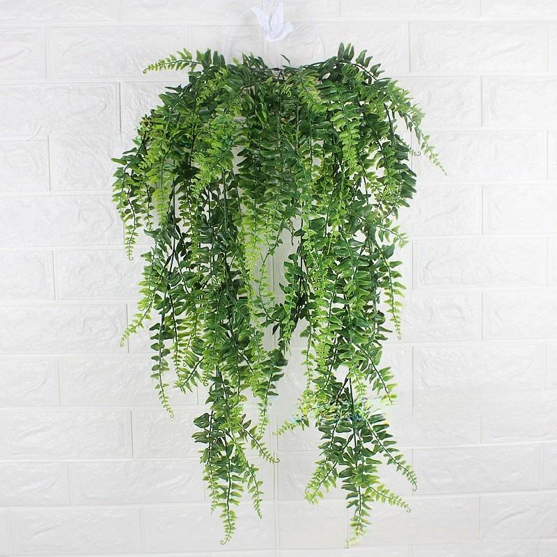 Pteridium Latiusculum Plant For Wedding And Outdoor Decorate Events