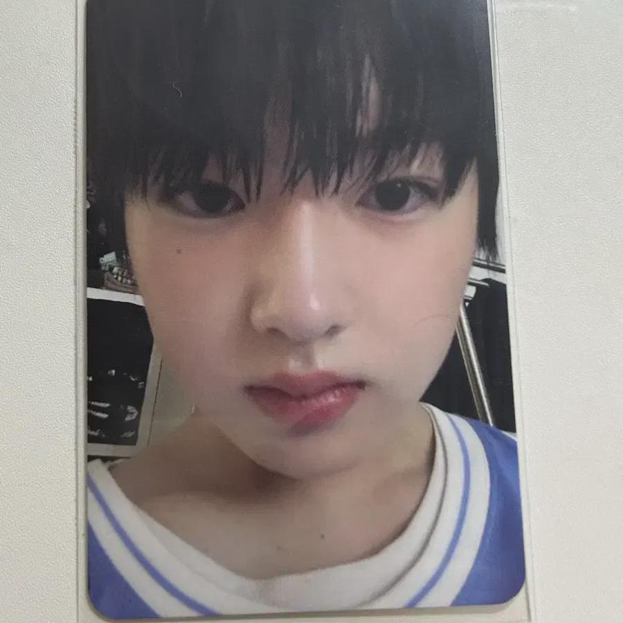 

Nct Wish Sakuya First-run Limited Edition Pop Pop Photocard Sell Source