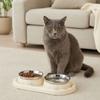 Stainless Steel Pet Food Bowl Leakproof Pet Dog Feeder Simple Dog Food Dispenser  For Cats Dogs