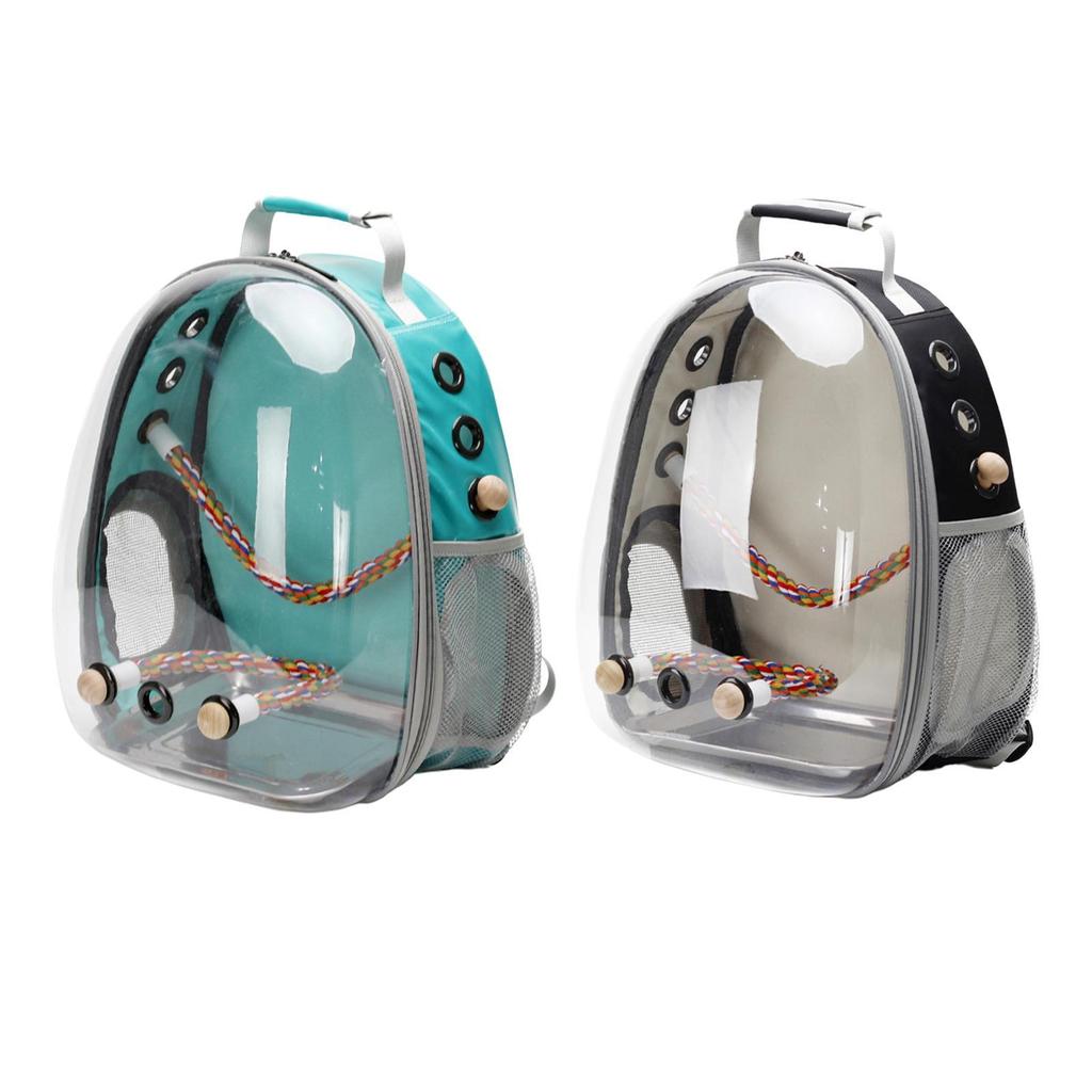 Backpack And Standing Perch