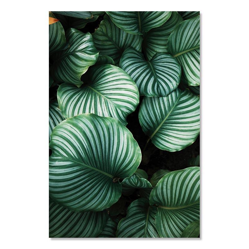 

Зеленое тропическое растение, картина Монстера, кактус, постер, настенное искусство, холст, картина, скандинавские листья, постеры для гостиной, домашний декор 21x30cm No Framed