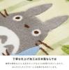 My Neighbor Totoro Toilet Set Friends/Cleansing Mat Approximately 6060cm 2 Pieces 3 4 Accessories Cover Ghibli Character Goods Cute Cleansing Seat