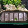 M-3D Printing Fish Tank Underground Cave Shelter Hiding Houses for Fish Shrimp Reptile Aquatic Tunnel Landscaping Aquarium