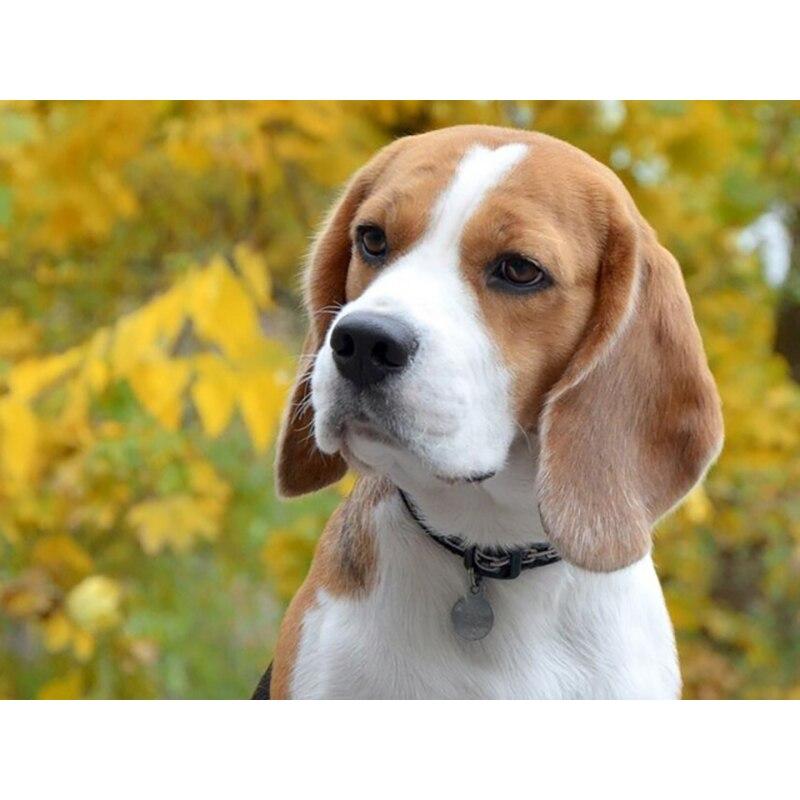 New 5D DIY Diamond Painting Dog Flower Diamond Embroidery Animal Cross Stitch Full Round Drill Home Decor Manual Art Gift