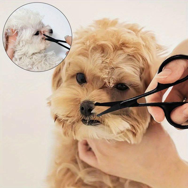 Professional Pet Grooming Scissors Set - Made of Stainless Steel Material, Equipped with Safety Round Head Design, Suitable for Dogs and Cats