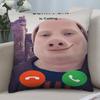 John Pork Is Calling Pillow Case 3D Print Polyester Fiber 40*40 Cm Home Sofa Throw Pillow Cover Decoration Festival Gift