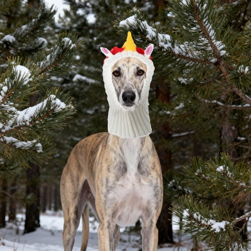 Funny Warm Dog Head Cover Soft Fashion Dog Decorative Hat Cartoon Comfortable Pet Knitted Hat Pet Party