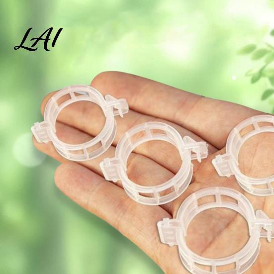 Plant Support Clips Clips Plastic Vine Reusable Tomato Stem Outdoor Training for Vegetables Climbing Plants Garden Trellis Netting Seedlings