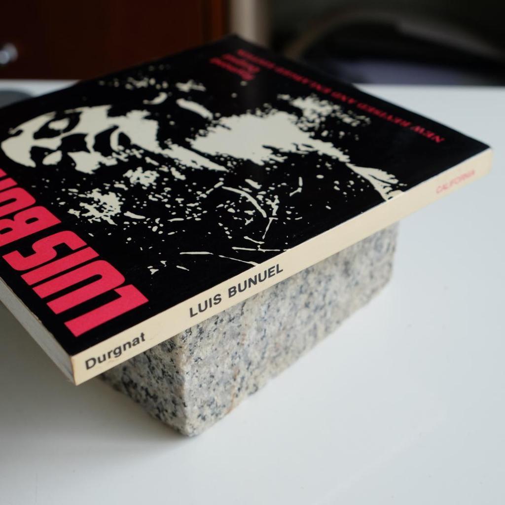 [USED] LUIS BUNUEL 1977 Out of Print Book by R. Durgnat
