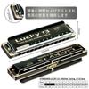 East Top Harmonica, 13-Hole Blues Harmonica in A Key, for Jazz Professionals, Adults, and Children, Study and Practice, Brass Cover, Canvas Case,