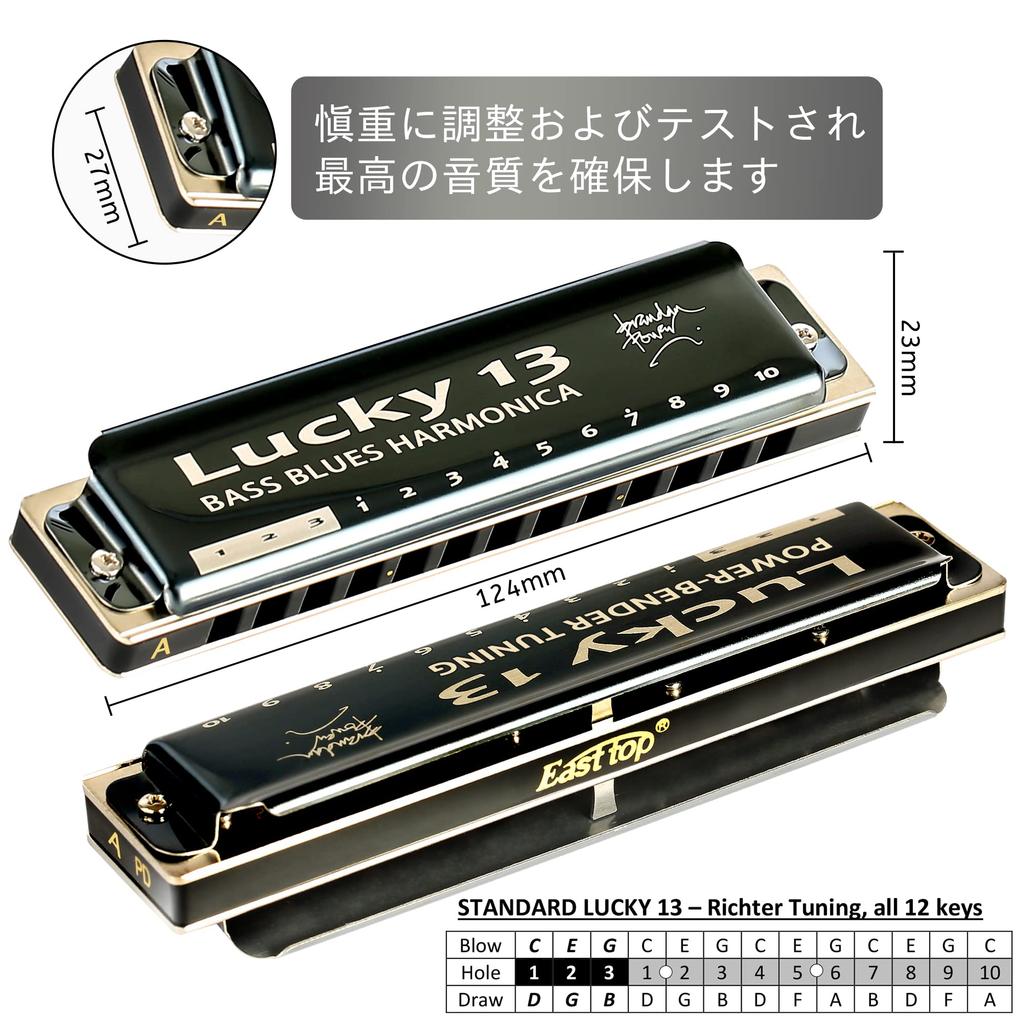 East Top Harmonica, 13-Hole Blues Harmonica in A Key, for Jazz Professionals, Adults, and Children, Study and Practice, Brass Cover, Canvas Case,