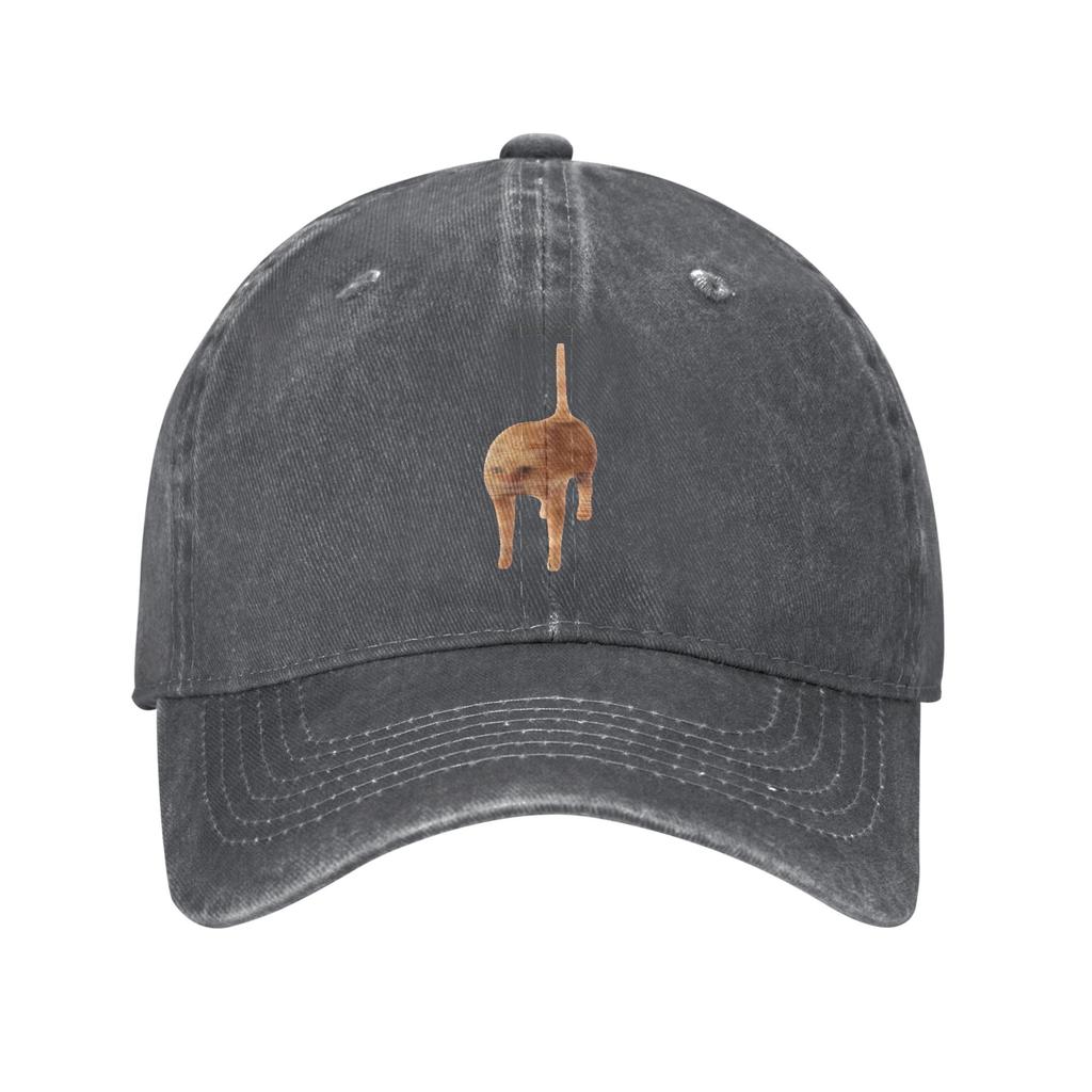 Gadse Cat Meme Funny Retro Design  Sun Baseball Cap  Casual Unisex-Teens Washed Hip Hop Hats Wholesale Gym Snapback Cap Gift