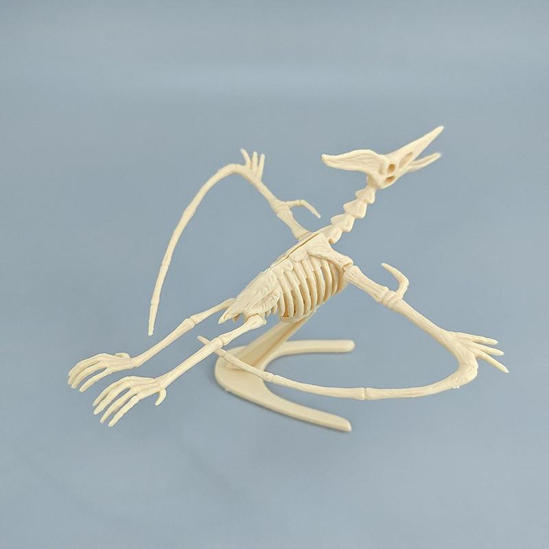 1 Set Kid Toy Diy Assembly Jurassic Dinosaur Fossil Skeleton Mosasaurus Tyrannosaurus Action Figure Collection Creative Model