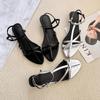 Roman Sandals Women's 2025 Summer New Low-heeled Pointed French Silver Temperament with Skirt Fashionable Cross-strap