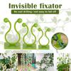 Bracket Fixed Plant Stent Support Wall Rattan Clamp Wall Vines Fixture Plant Climbing Wall Clip