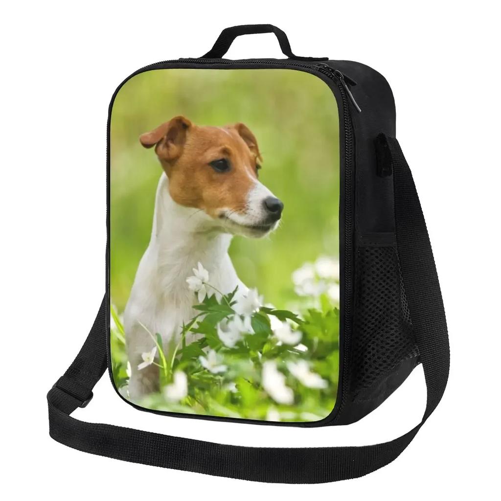 Jack Russell Terrier Dog With Pencil Portable Lunch Box Leakproof Animal Thermal Cooler Food Insulated Lunch Bag School Student