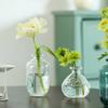 Glass Vase Aesthetic Flower Pot Hydroponics Flower Arrangement Supplies Transparent Vase Table Ornaments Home Decor