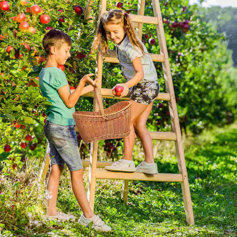 Plastic Woven Basket Vine Flower Basket Hand-woven Portable Bread Storage Handles Basket Gift For Picnic Outdoor Shopping Props