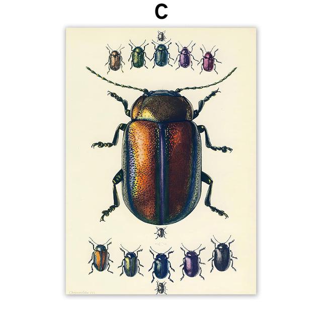 Vintage Käfer Insekt Probe Illustration Nordic Wand Kunst Leinwand Malerei Poster Und Drucke Bilder Für Wohnzimmer Dekor