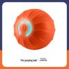 Smart Rolling Bite-Resistant Cat Toy Ball for Self-Entertainment & Decompression