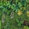 Plastic Lawn Artificial Plant Wall Panel UV Resistant Fake Lawn Carpet  Party Decor
