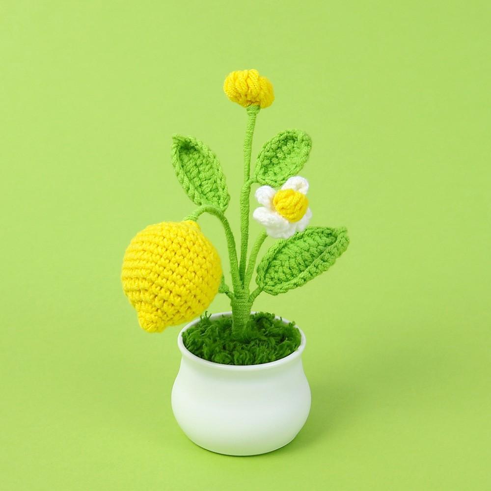 Hand-Knitted Wool Fake Flowers Set: Sunflower, Carnation, Tulip - Desktop Decor, Teacher/Student Gift, Everlasting Bouquet