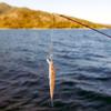 11CM Plastic 3D Fish Eye Minnow Lifelike Artificial Hard Bait Fishing Lures Tackle Accessory