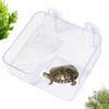 Turtle Docks For Basking Suction Cup Clear Terrace Decoration Adjustable Height Basking Area Ramps For Tank Aquarium Habitat
