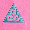 Nike ACG Dri-Fit Printed Badge Crew Neck Quick-Dry T-Shirt Men Tops IH1289-684