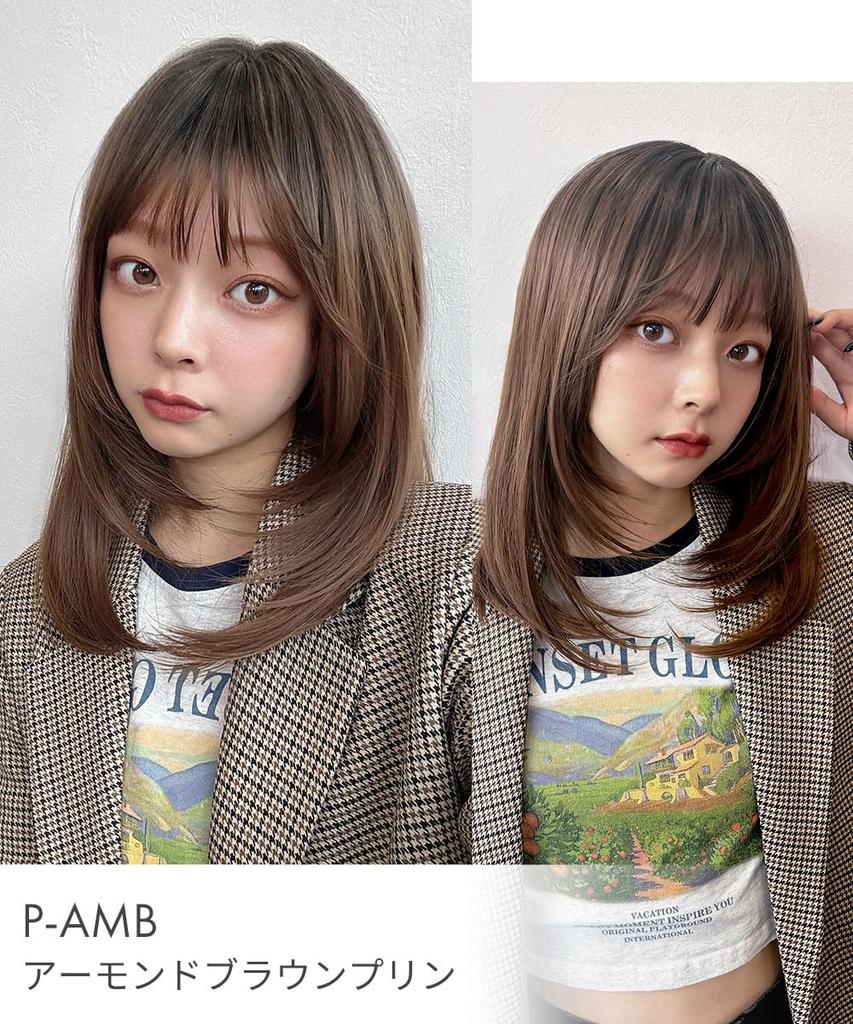 AQUADOLL P-AMB Almond Brown Pudding Wig, Medium/Semi-Long Layered Inner Mesh Full Wig, One Size Fits Most (wg352P-AMB)