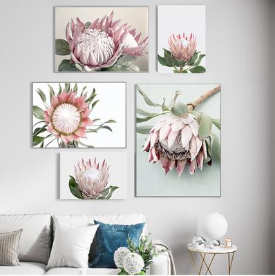 Protea Kral Çiçek Bitki Resim Botanik sanat posterleri İskandinav Çiçek Duvar Sanatı Tuval Baskı Boyama Modern Oturma Odası Dekorasyon Yok Çerçeve