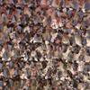 Kylebooker 1.5m Width Gardening Shade Sails & Nets Italy Camo