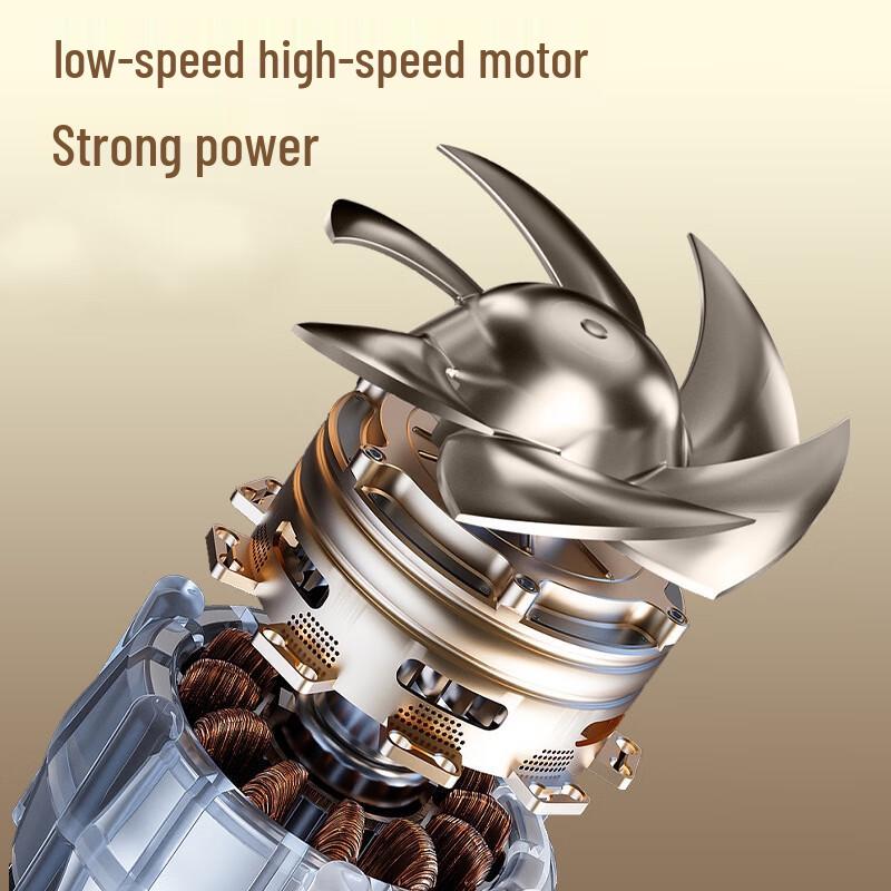 Shengbai Professional Hair Dryer