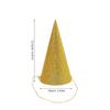 12Pcs Birthday Hats Glitter Cone Party Crowns for Kids Adults Wedding Baby Shower Prince Crown Birthday Crown Baby Crowning