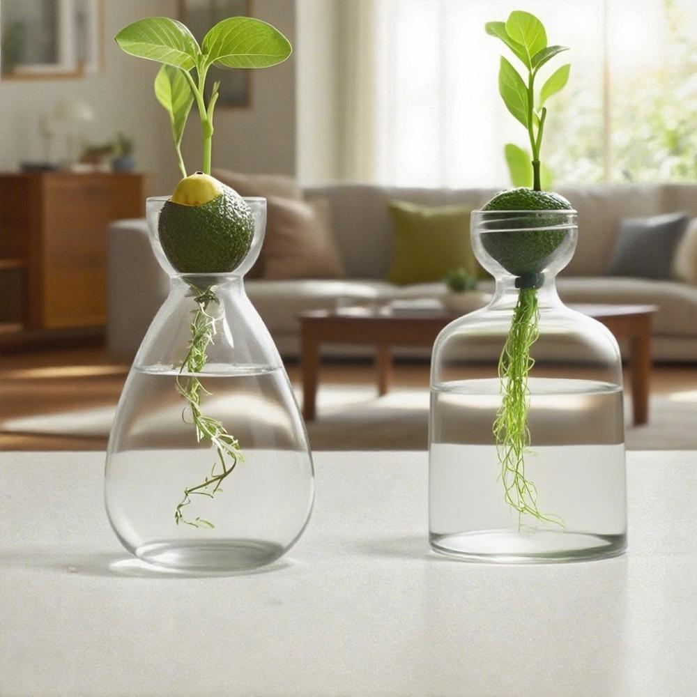 Creative Avocado Hydroponic Vase Simple Transparent Seed Starter Vase Home Desktop Decoration Ornament Gardening Lovers