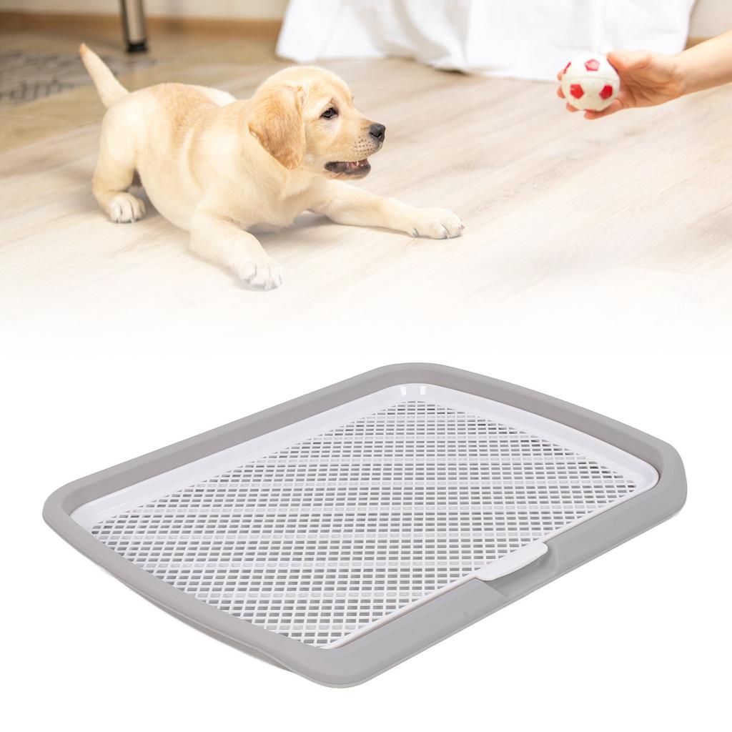 Vassoio per l'addestramento alla toilette per cuccioli Rete lavabile rimovibile Vassoio porta-assorbenti per urina per cani di piccola taglia
