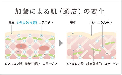 Silica Hochreine Silica-Konzentratlösung 500 ml Trinkbares Silica Silizium Wasserlöslich Sicher und zuverlässig Genehmigt von der japanischen Gesellschaft für