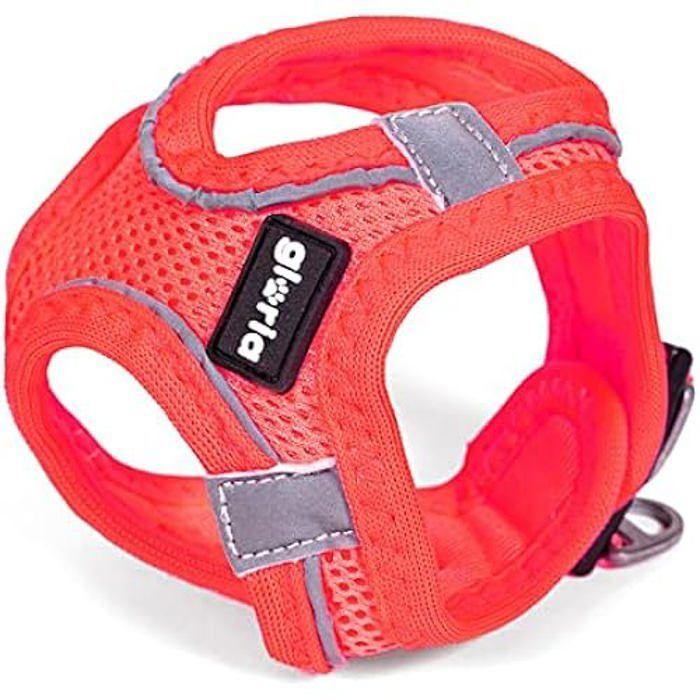 Harnais Pour Chien - GLORIA - Air Mesh Star - Rose - Taille XXS - Réglable