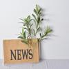 Artificial Olive Branch with Fruit - Green Decorative Plant for Dining Table, Wedding, and Photography Props.