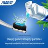Leng Suan Ling Dual Action Sensitive Care Pump Toothpaste