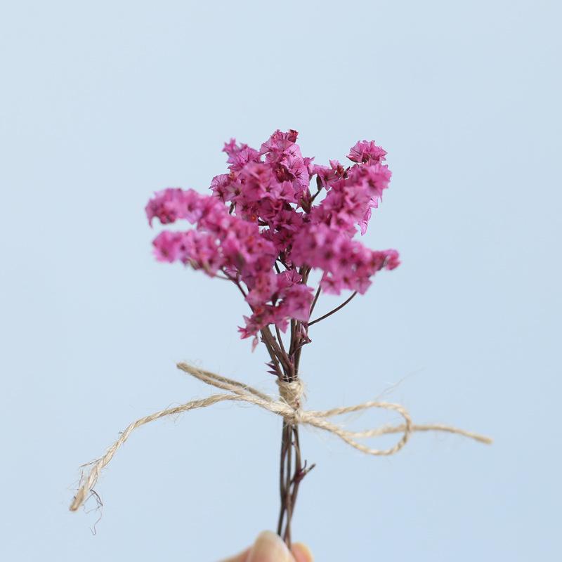 12cm Preserved Flower Boutonniere: Mini Bouquet for Bride, Bridesmaid, Wedding, Gift Box, Party Favor Decoration