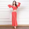 Mesh Silver Shimmer Belly Dance Outfit Slim Fitting Oriental Dance Practice and Performance Wear