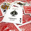 BICYCLE HARY POTTER GREEN SLYTHERIN playing cards 1 DECK