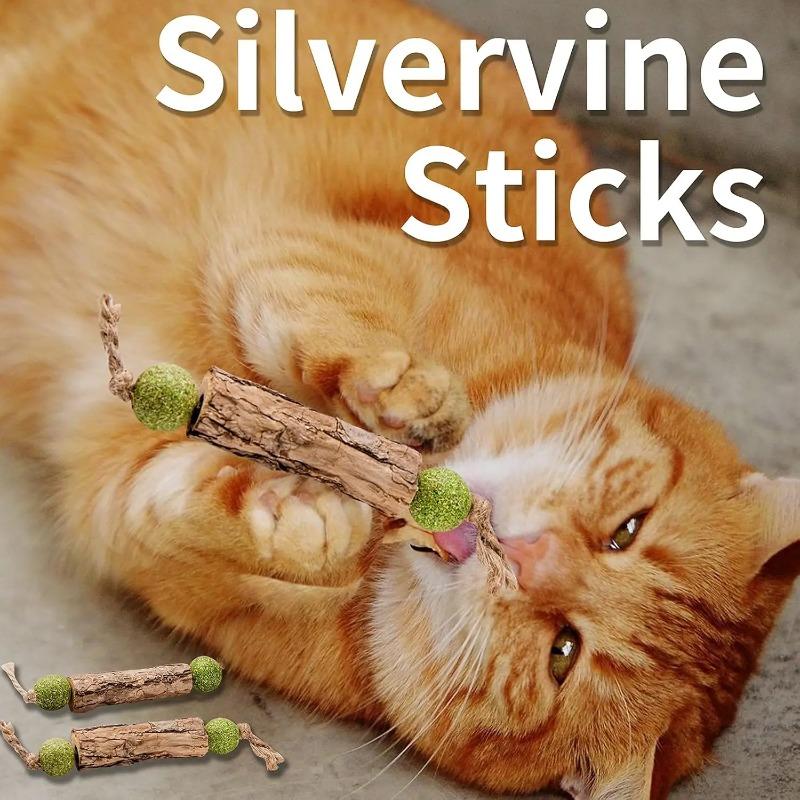 3 Stück Katzen-Zahnreinigung Reines Natürliches Katzenminze Katzen-Mahlzahn-Zahnpasta-Stick Silberrebe Actinidia-Frucht Matatabi Katzen-Snack-Stick