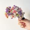 Sweet Starry Sky Flower Hair Clip Fairy Thai Hairpin Headwear Floral Side Clip  Girls